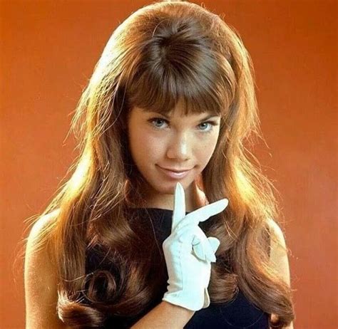 pictures of barbie benton|30 Fabulous Photos of a Young Barbi Benton in the。